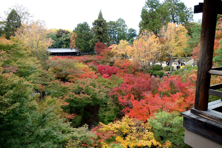 二階堂隆　二階堂美子　京都旅行　2.JPG