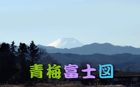 富士山.jpg