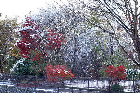 雪景色2.JPG