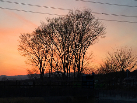 霞川の風景.jpg