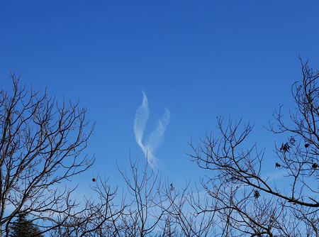 綺麗な雲.JPG