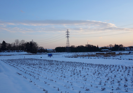 雪景色-7.JPG