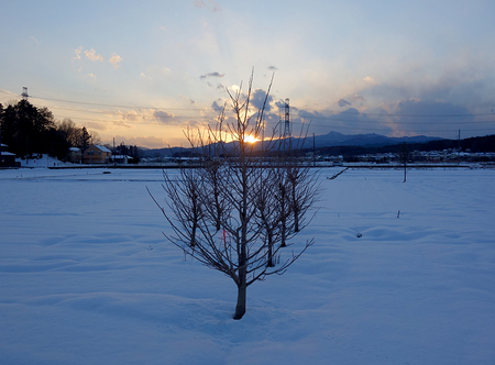 雪景色-9.JPG