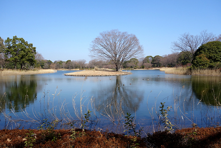 昭和記念公園-1.JPG