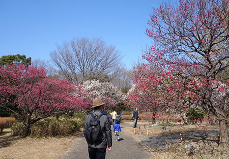 昭和記念公園-2.JPG