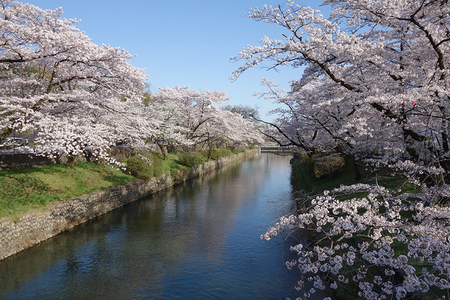 羽村の堰-2.JPG