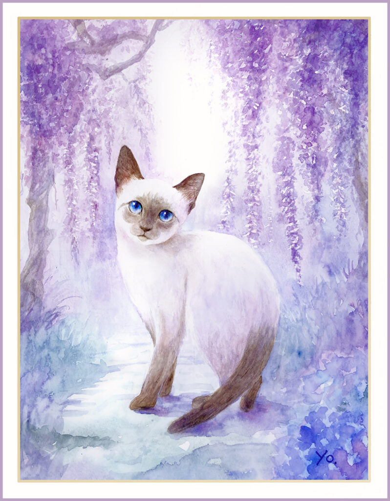 二階堂美子　水彩画  猫　シャム猫　藤