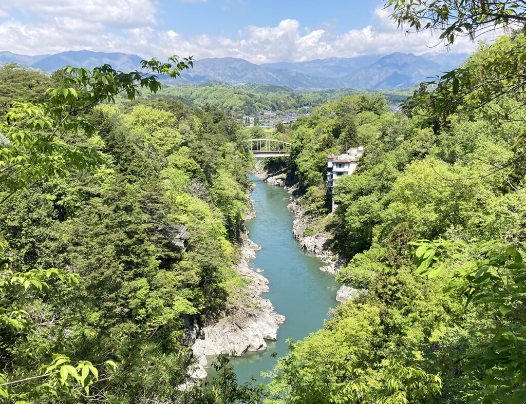 龍角峰の頂上から見た天竜川の風景